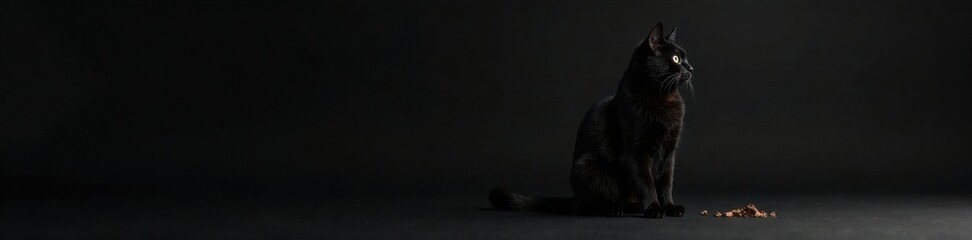Black cat sitting on black background with paw print , cute, black cat