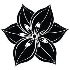 Fototapeta premium Jasmine flower black and white abstract flower
