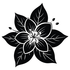 Jasmine flower black and white abstract flower