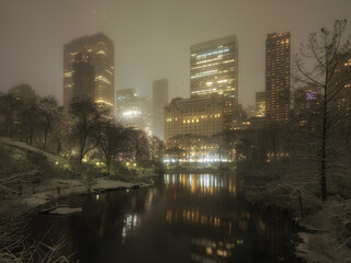 Winter at Central park the pond