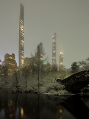 Snow storm in Central Park with skyline view 