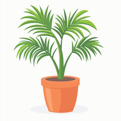 Obraz premium Illustration vector of white DWARF DATE PALM Pot