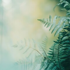 Obraz premium Delicate Green Fern Leaves Against a Soft Blurred Background