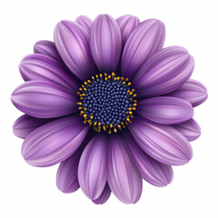 Realistic purple daisy flower with intricate petals, vibrant botanical illustration. Isolated on transparent background. Generative Ai.