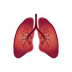 Human lungs icon vector design