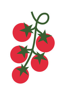 Vector illustration of cherry tomatoes on vine, minimalist design in red and green. Clean modern graphic art style perfect for food packaging, cookbook illustrations, menu design, and organic food bra