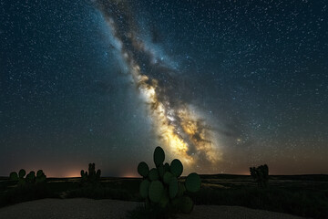 Desert Night Sky with Milky Way and Prickly Pear Cacti