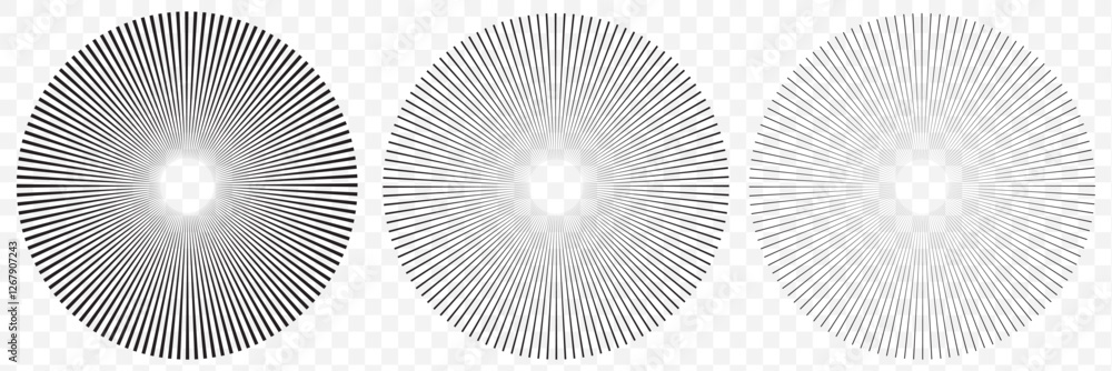 Wall mural radial circle lines. circular radiating lines geometric design element. line burst vector illustrati