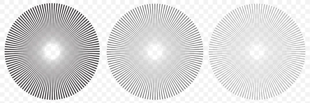 Radial circle lines. Circular radiating lines geometric design element. line burst vector illustration. Radial circle lines vector set. Circular element with radiating lines. Radial circle shape.EPS10