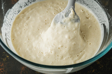 Sourdough Starter with Active Fermentation for Fresh Bread
