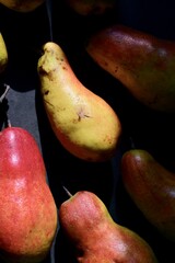 Pears-are colorful, hardy and delicious. For nutrition, vitamins and veganism, as well as for diet...