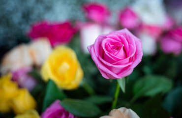 roses display for sell on valentines day