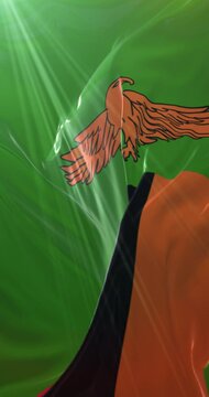 Flag of Zambia. Loop. 4K Vertical