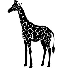 Naklejka premium giraffe black silhouette vector, Simple silhouette Design vector icon with white background. Wild animal vector 