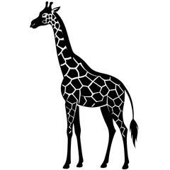 Obraz premium giraffe black silhouette vector, Simple silhouette Design vector icon with white background. Wild animal vector 