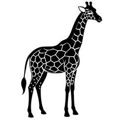 Naklejka premium giraffe black silhouette vector, Simple silhouette Design vector icon with white background. Wild animal vector 