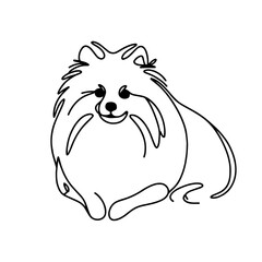 Minimalist line drawing of a Pomeranian-like dog with fluffy fur, large eyes, and a joyful expression, sitting with a slight head turn, symbolizing simplicity, companionship, and happiness in pets.