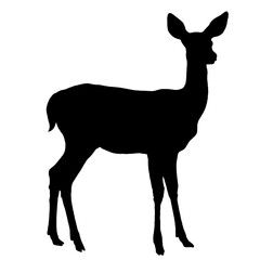 Silhouette of a Deer – Elegant Profile with Long Legs and Large Ears, Symbolizing Grace, Wild Nature, and Freedom, Minimalist Representation of Forest Wildlife

