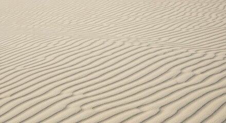 Close-up photograph of a desert sand dune with smooth, undulating ridges and valleys, in soft, creamy beige tones, creating a serene and minimalist atmosphere.

