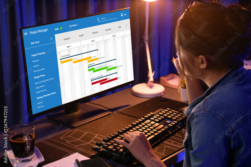 Poster project planning software for brisk business project management on the computer screen showing timel