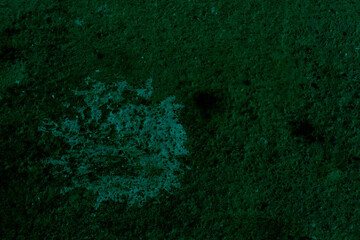 Dark green textured surface with light patch
