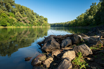 Scenic riverbank with lush greenery
