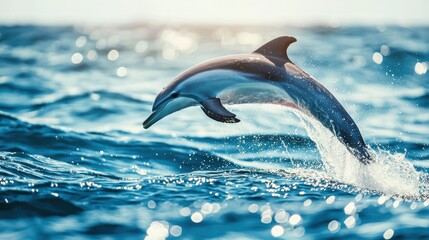 Fototapeta premium Dolphin leaping out of the turquoise ocean, water droplets sparkling in the sunlight.