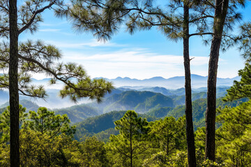 Obraz premium Scenic Mountain View with Lush Green Forest & Blue Sky - Stunning Landscape for Travel Blogs, Wallpapers & Adventure Tourism
