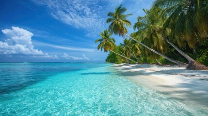 Fototapeta premium National Geographic A tropical beach with palm trees leaning over crystal-clear waters.