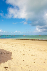 Fototapeta premium praias nordestinas da cidade de Maceió, Alagoas, Brasil