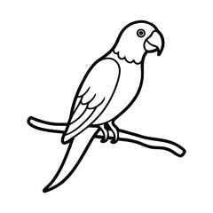 parrot on branch