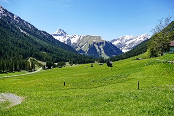 Weißenbach am Lech Österreich