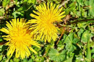 Weißenbach am Lech Österreich
