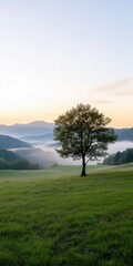 Obraz premium A tree stands in a field with a beautiful view of the mountains in the background. The sky is a mix of blue and orange, creating a serene and peaceful atmosphere