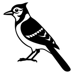 blue jay bird black silhouette vector, Simple silhouette Design vector icon with white background. Wild Animal Vector. Bird Vector 