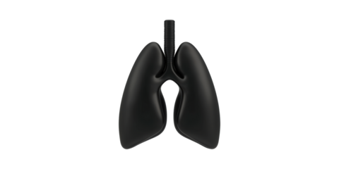 Black anatomical lungs model with screw detail isolated on transparent background