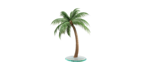 Palm tree model with curved trunk and green fronds isolated on transparent background