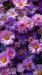 Warm bokeh lights shimmer in the background, adding a magical and dreamlike atmosphere.