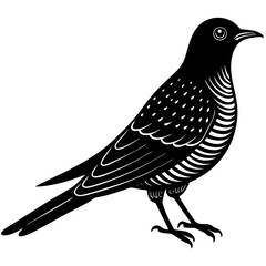 cuckoo bird black silhouette vector, Simple silhouette Design vector icon with white background. Wild Animal Vector. Bird Vector 