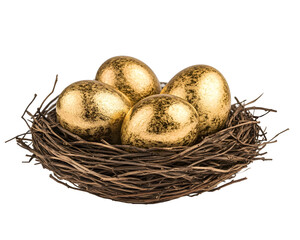 Obraz premium A golden egg in a nest, symbolizing financial security, investment, and savings.