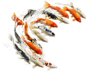 A group of fish swimming together in a wave-like formation,