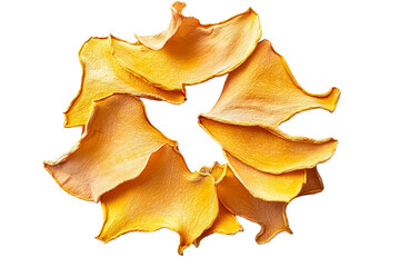 Fototapeta premium dried pumpkin slices