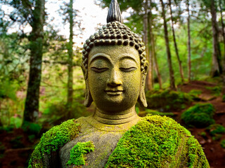 Buddha statue covered with moss in the forest