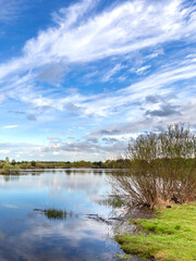 Calm lake with a few trees in the background