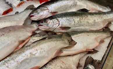 Raw steaks of rainbow trout chilled on shallow ice at the seafood market. An open shelf at the fish market
