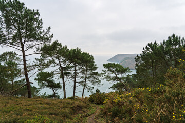 Sur la presqu&rsquo;&icirc;le de Crozon, les falaises bord&eacute;es de pins maritimes et d&rsquo;ajoncs dor&eacute;s dominent la mer d&rsquo;Iroise aux reflets changeants sous un ciel nuageux.