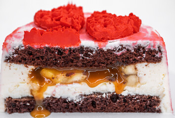 One piece of cake. Homemade cake in section