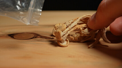 Psilocybin magic mushrooms illegal for sale and controlled substances. By taking shrooms person experience colourful trippy surreal world of vibrant patterns and colors. Taken in the dancing clubs.