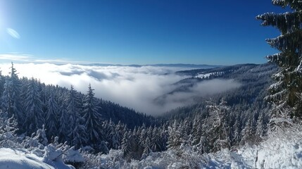 Snow covered mountain forest scene with low clouds
