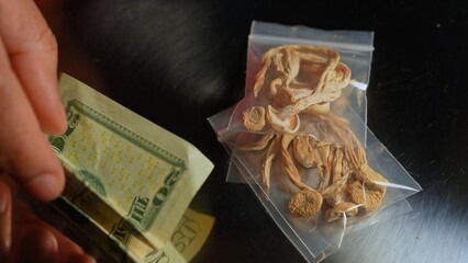 Table of drug dealer with Magic mushrooms in small bag. Psychedelic drugs. Dried hallucinogenic shrooms are controlled substances and illegal. US money bill, evidence at a crime scene.